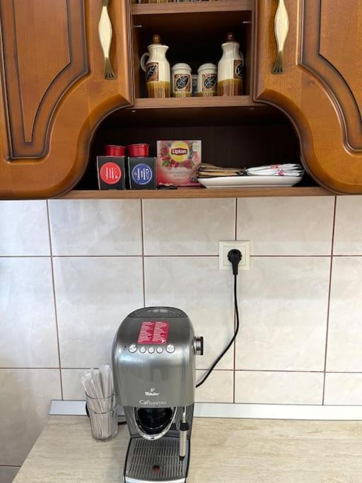 Apartment Superb Intr-O Locatie Premium ティミショアラ エクステリア 写真